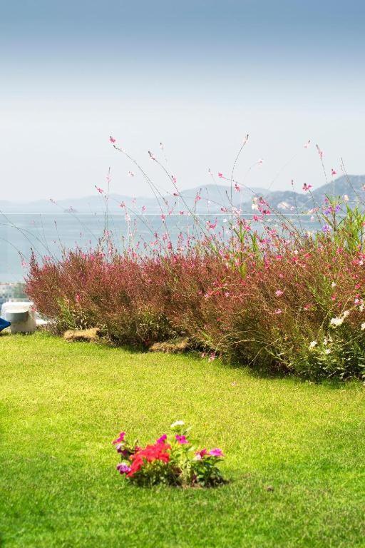 Bodrum Horizon Villas Bagian luar foto